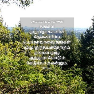 Picture 04 - 2 நாளாகமம் 15:12 TAMIRV - தங்கள் - Bible Verse Picture