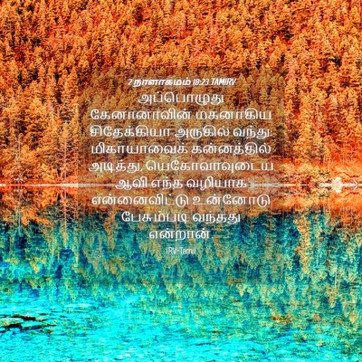 Picture 04 - 2 நாளாகமம் 18:23 TAMIRV - அப்பொழுது - Bible Verse Picture