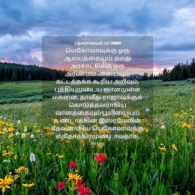 Picture 04 - 2 நாளாகமம் 2:12 TAMIRV - யெகோவாவுக்கு ஒரு - Bible Verse Picture