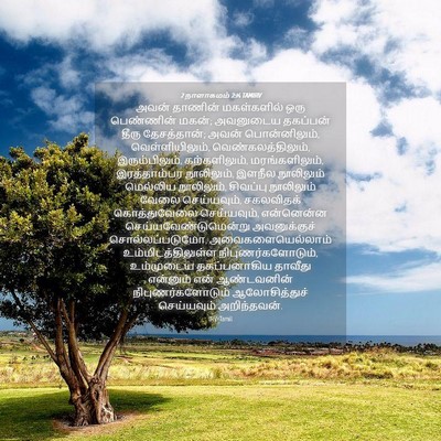 Picture 04 - 2 நாளாகமம் 2:14 TAMIRV - அவன் தாணின் - Bible Verse Picture