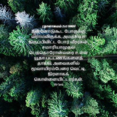 Picture 04 - 2 நாளாகமம் 25:13 TAMIRV - தன்னோடுகூட - Bible Verse Picture