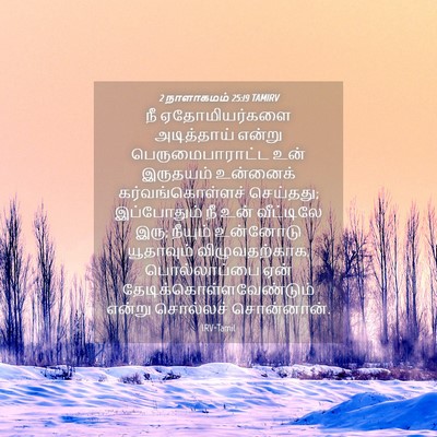 Picture 04 - 2 நாளாகமம் 25:19 TAMIRV - நீ ஏதோமியர்களை - Bible Verse Picture