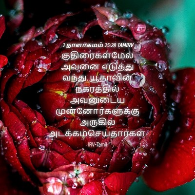 Picture 04 - 2 நாளாகமம் 25:28 TAMIRV - குதிரைகள்மேல் - Bible Verse Picture