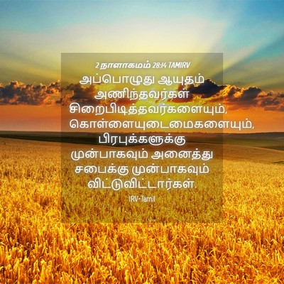 Picture 04 - 2 நாளாகமம் 28:14 TAMIRV - அப்பொழுது ஆயுதம் - Bible Verse Picture