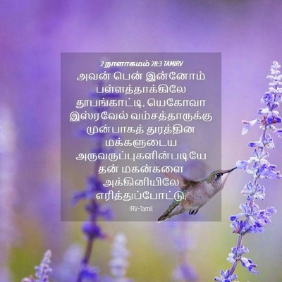 Picture 04 - 2 நாளாகமம் 28:3 TAMIRV - அவன் பென் இன்னோம் - Bible Verse Picture