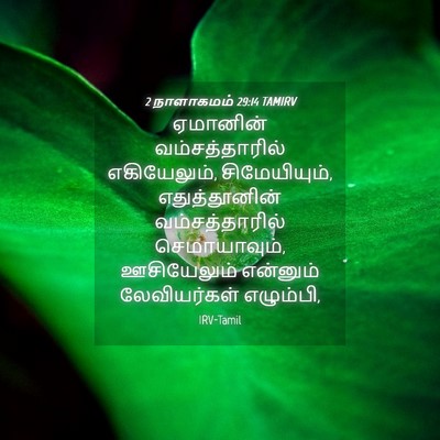 Picture 04 - 2 நாளாகமம் 29:14 TAMIRV - ஏமானின் - Bible Verse Picture