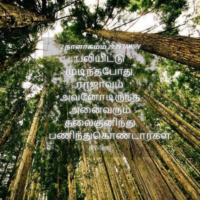 Picture 04 - 2 நாளாகமம் 29:29 TAMIRV - பலியிட்டு - Bible Verse Picture
