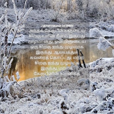 Picture 04 - 2 நாளாகமம் 3:11 TAMIRV - அந்தக் - Bible Verse Picture