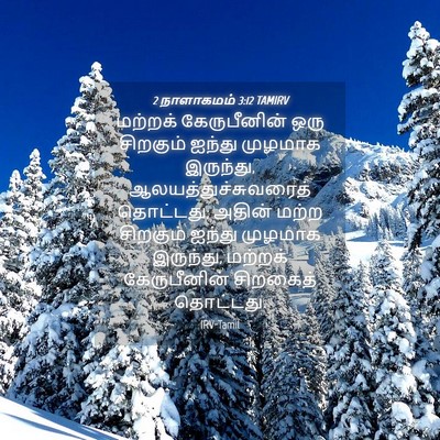 Picture 04 - 2 நாளாகமம் 3:12 TAMIRV - மற்றக் கேருபீனின் - Bible Verse Picture