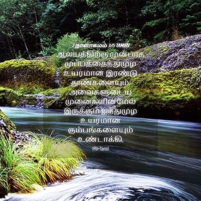 Picture 04 - 2 நாளாகமம் 3:15 TAMIRV - ஆலயத்திற்கு - Bible Verse Picture