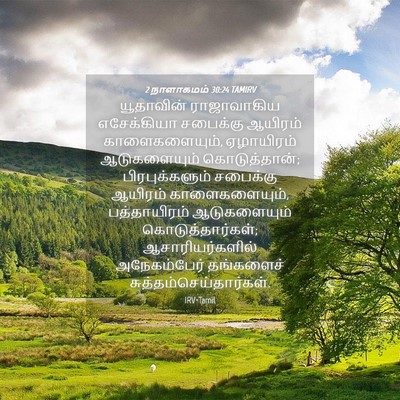 Picture 04 - 2 நாளாகமம் 30:24 TAMIRV - யூதாவின் - Bible Verse Picture