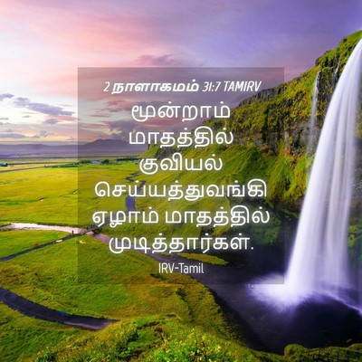 Picture 04 - 2 நாளாகமம் 31:7 TAMIRV - மூன்றாம் - Bible Verse Picture