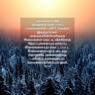 Picture 04 - 2 நாளாகமம் 34:4 TAMIRV - அவனுக்கு - Bible Verse Picture