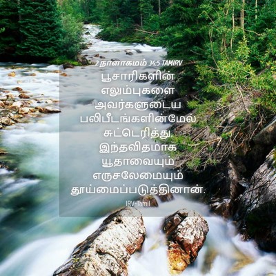 Picture 04 - 2 நாளாகமம் 34:5 TAMIRV - பூசாரிகளின் - Bible Verse Picture
