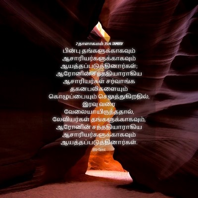 Picture 04 - 2 நாளாகமம் 35:14 TAMIRV - பின்பு - Bible Verse Picture