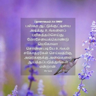 Picture 04 - 2 நாளாகமம் 35:6 TAMIRV - பஸ்கா - Bible Verse Picture