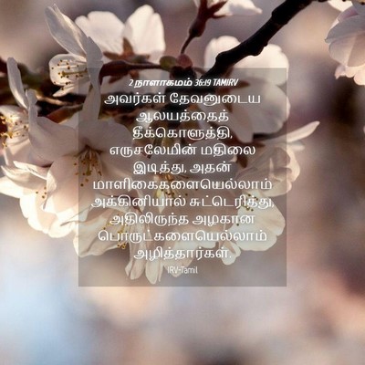 Picture 04 - 2 நாளாகமம் 36:19 TAMIRV - அவர்கள் தேவனுடைய - Bible Verse Picture
