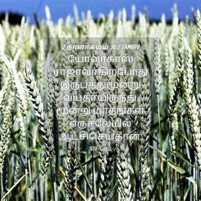 Picture 04 - 2 நாளாகமம் 36:2 TAMIRV - யோவாகாஸ் - Bible Verse Picture