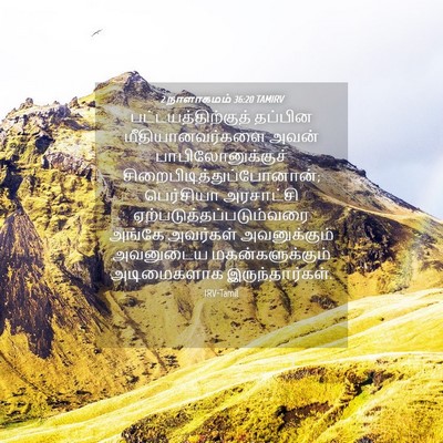 Picture 04 - 2 நாளாகமம் 36:20 TAMIRV - பட்டயத்திற்குத் - Bible Verse Picture