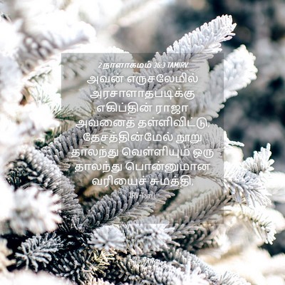 Picture 04 - 2 நாளாகமம் 36:3 TAMIRV - அவன் எருசலேமில் - Bible Verse Picture