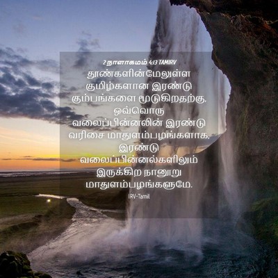 Picture 04 - 2 நாளாகமம் 4:13 TAMIRV - தூண்களின்மேலுள்ள - Bible Verse Picture