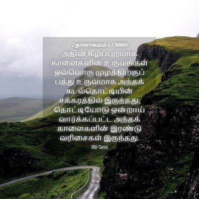 Picture 04 - 2 நாளாகமம் 4:3 TAMIRV - அதின் - Bible Verse Picture