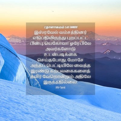 Picture 04 - 2 நாளாகமம் 5:10 TAMIRV - இஸ்ரவேல் - Bible Verse Picture