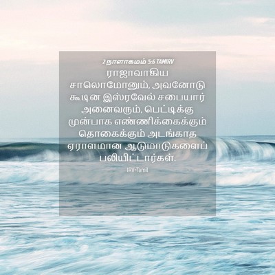 Picture 04 - 2 நாளாகமம் 5:6 TAMIRV - ராஜாவாகிய - Bible Verse Picture