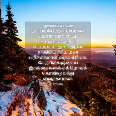 Picture 04 - 2 நாளாகமம் 5:7 TAMIRV - அப்படியே - Bible Verse Picture