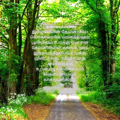 Picture 04 - 2 நாளாகமம் 6:14 TAMIRV - இஸ்ரவேலின் - Bible Verse Picture