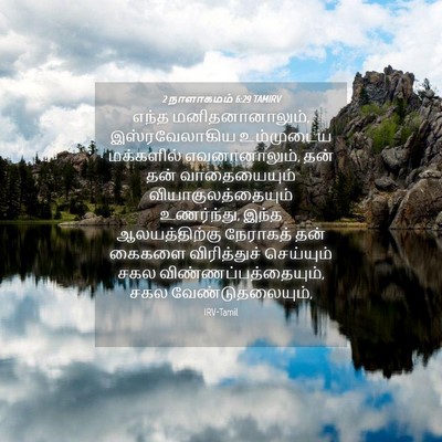 Picture 04 - 2 நாளாகமம் 6:29 TAMIRV - எந்த - Bible Verse Picture