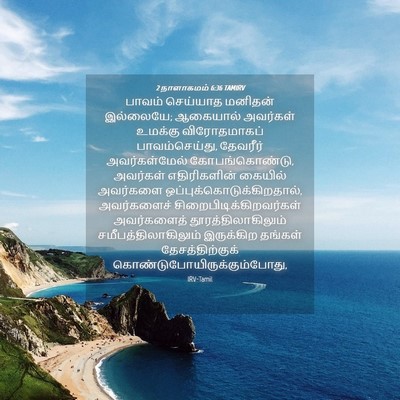 Picture 04 - 2 நாளாகமம் 6:36 TAMIRV - பாவம் செய்யாத - Bible Verse Picture
