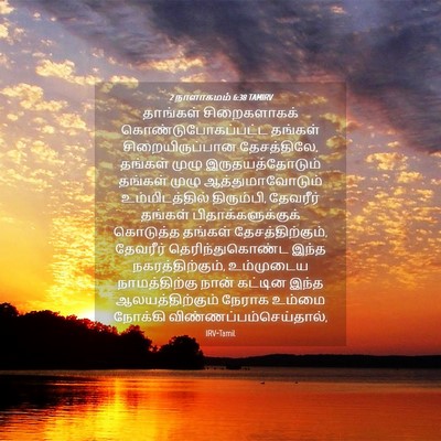 Picture 04 - 2 நாளாகமம் 6:38 TAMIRV - தாங்கள் - Bible Verse Picture