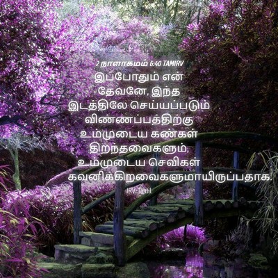 Picture 04 - 2 நாளாகமம் 6:40 TAMIRV - இப்போதும் என் - Bible Verse Picture