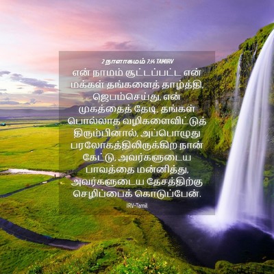 Picture 04 - 2 நாளாகமம் 7:14 TAMIRV - என் நாமம் - Bible Verse Picture