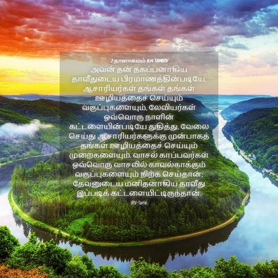 Picture 04 - 2 நாளாகமம் 8:14 TAMIRV - அவன் தன் - Bible Verse Picture