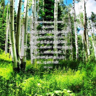 Picture 04 - 2 நாளாகமம் 8:4 TAMIRV - அவன் - Bible Verse Picture