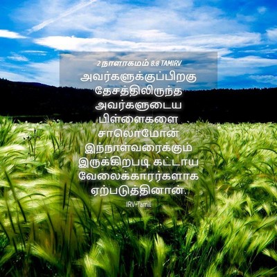Picture 04 - 2 நாளாகமம் 8:8 TAMIRV -  - Bible Verse Picture