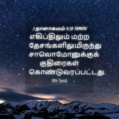 Picture 04 - 2 நாளாகமம் 9:28 TAMIRV - எகிப்திலும் மற்ற - Bible Verse Picture