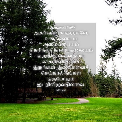 Picture 04 - 2 பேதுரு 1:10 TAMIRV - ஆகவே, சகோதரர்களே, - Bible Verse Picture