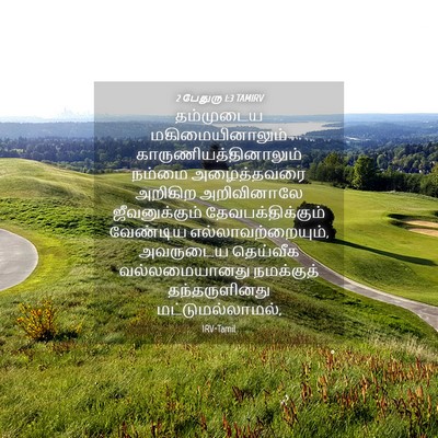 Picture 04 - 2 பேதுரு 1:3 TAMIRV - தம்முடைய - Bible Verse Picture