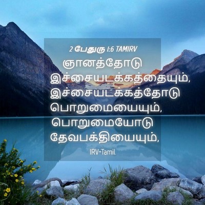 Picture 04 - 2 பேதுரு 1:6 TAMIRV - ஞானத்தோடு - Bible Verse Picture