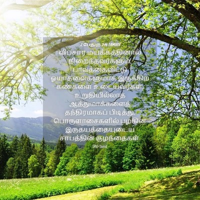 Picture 04 - 2 பேதுரு 2:14 TAMIRV - விபசார - Bible Verse Picture