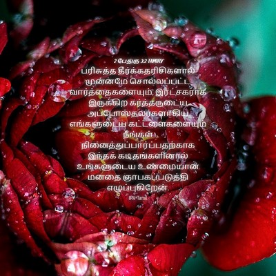 Picture 04 - 2 பேதுரு 3:2 TAMIRV - பரிசுத்த - Bible Verse Picture