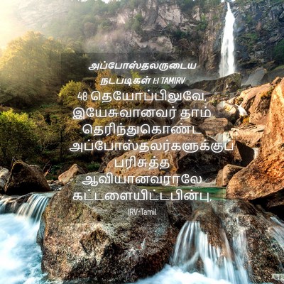 Picture 04 - அப்போஸ்தலருடைய நடபடிகள் 1:1 TAMIRV - 48 தெயோப்பிலுவே, - Bible Verse Picture
