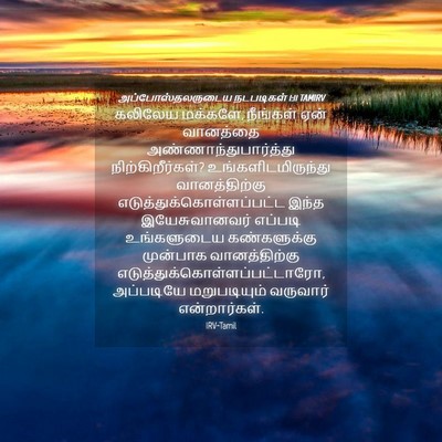 Picture 04 - அப்போஸ்தலருடைய நடபடிகள் 1:11 TAMIRV - கலிலேய மக்களே, - Bible Verse Picture