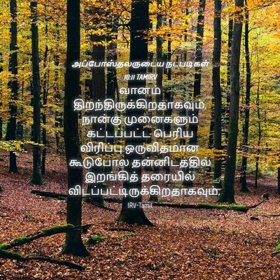 Picture 04 - அப்போஸ்தலருடைய நடபடிகள் 10:11 TAMIRV - வானம் - Bible Verse Picture