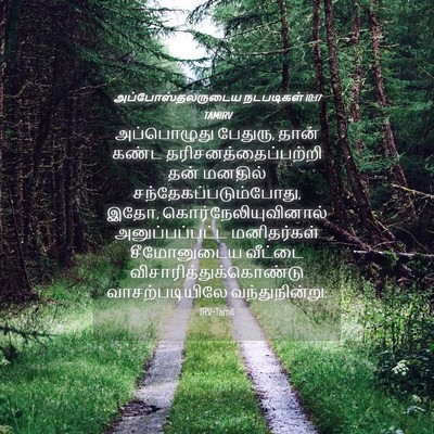 Picture 04 - அப்போஸ்தலருடைய நடபடிகள் 10:17 TAMIRV - அப்பொழுது பேதுரு, - Bible Verse Picture