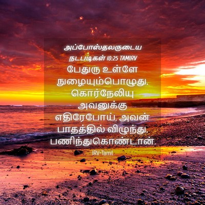 Picture 04 - அப்போஸ்தலருடைய நடபடிகள் 10:25 TAMIRV - பேதுரு உள்ளே - Bible Verse Picture