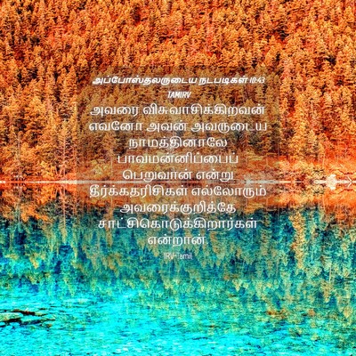 Picture 04 - அப்போஸ்தலருடைய நடபடிகள் 10:43 TAMIRV - அவரை - Bible Verse Picture